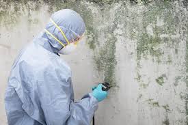 Why You Should Choose Our Mold Remediation Services in Middletown, PA